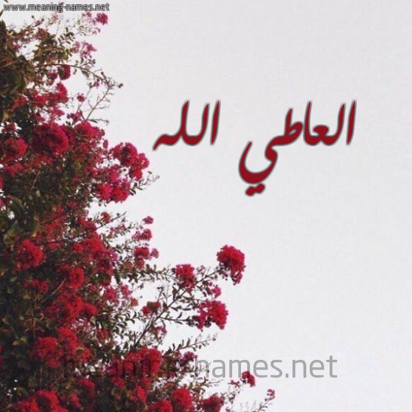 شكل 18 صوره الورد الأحمر للإسم بخط رقعة صورة اسم العاطي الله EL-ATI-ALLAH